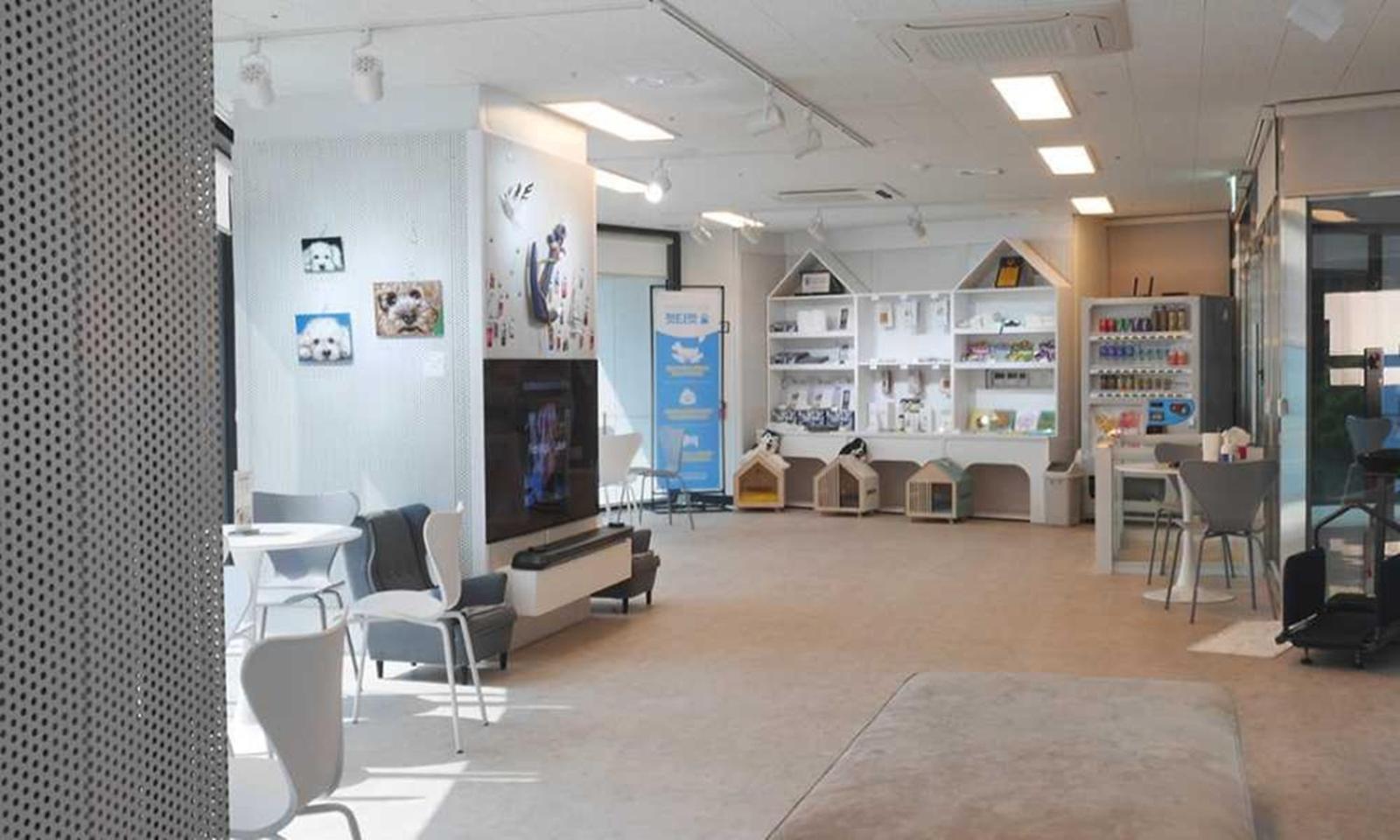 Busan Yeongmu Parade Hotel Haeundae Beach Экстерьер фото